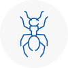 Ant Removals In Solihull