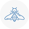 Bee Nest Removal Solihull