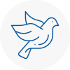 Bird Prevention Solihull