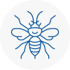 Solihull Hornet Nest Removals