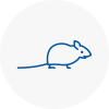 Mice Exterminators In Solihull