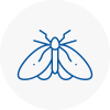 Moth Control Specialists In Solihull