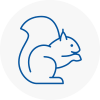 Solihull Rodent Removals